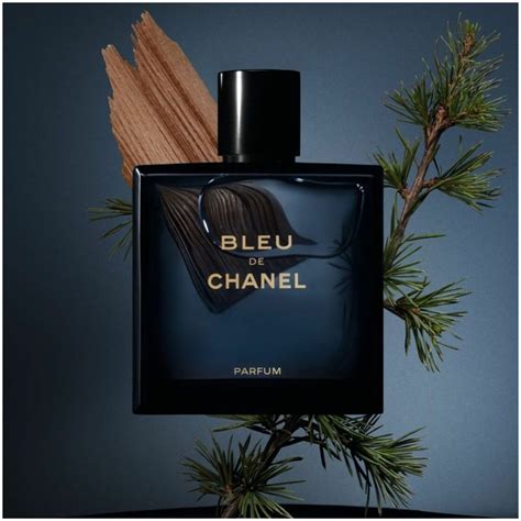 parfum bleu de chanel prix|chanel bleu parfum best price.